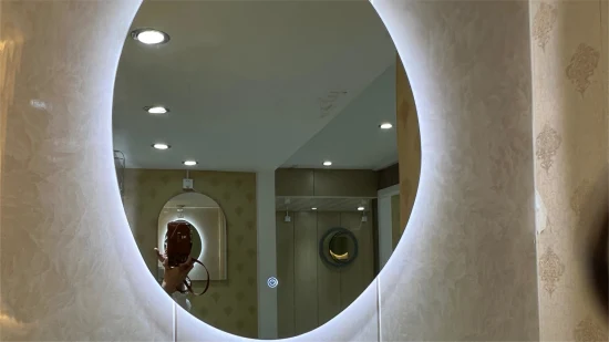 Fabrik-Großhandel, maßgeschneiderte Größe, runder Wand-Schminkspiegel mit Acryl-Lampenschirm, Badezimmer-Waschtisch-LED-Smart-Spiegel